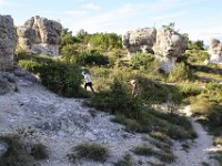 20140721 -23 forcalquier lepage (42)